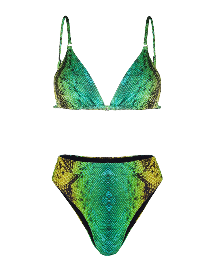Green Snake Tanning Top & High Waist Bottom