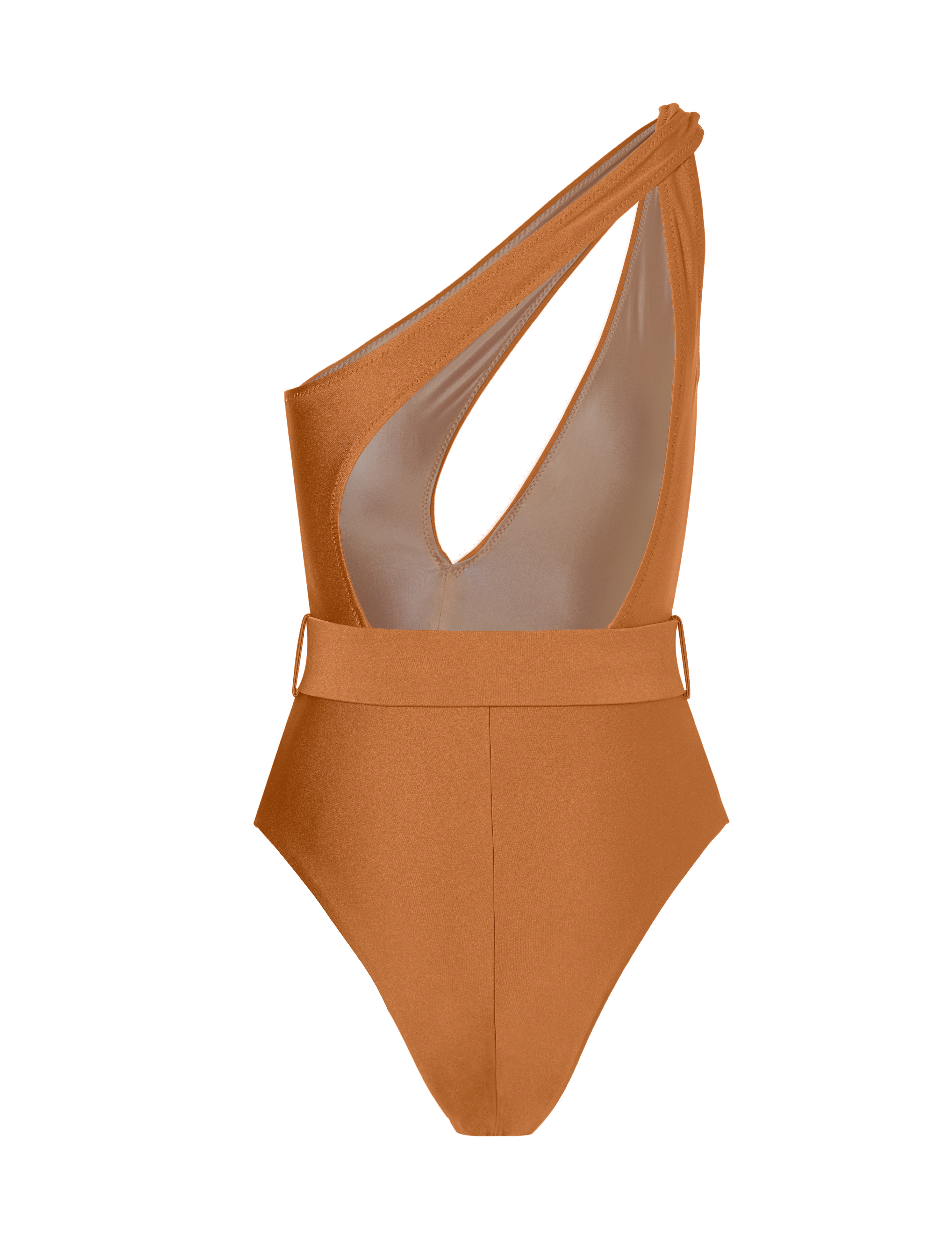Amber One Shoulder Swimsuit